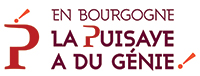 logo puisaye a du génie
